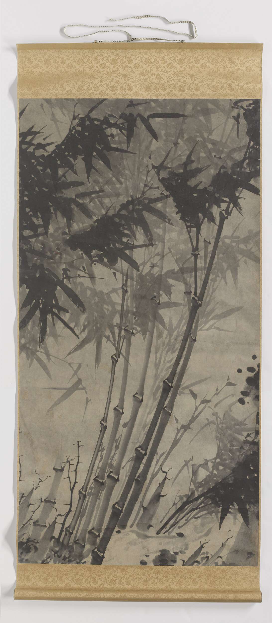 bamboo