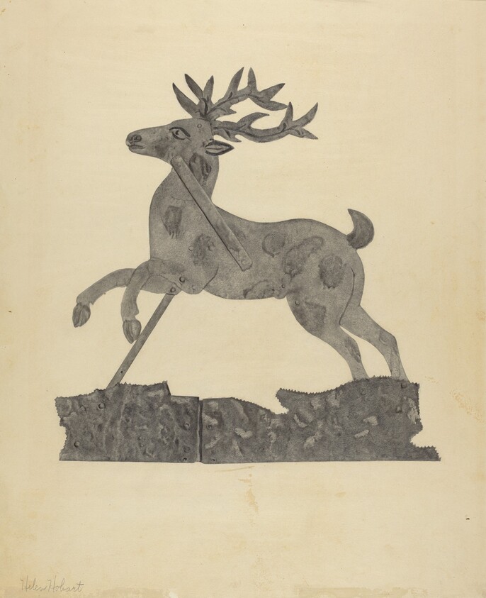 deer